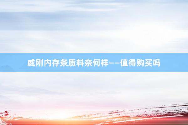 威刚内存条质料奈何样——值得购买吗