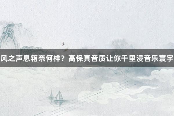 风之声息箱奈何样？高保真音质让你千里浸音乐寰宇